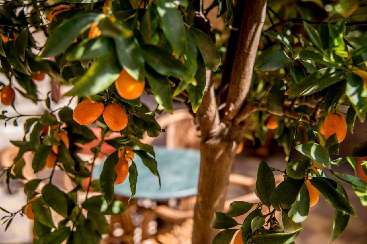 Dar Camelia Bed and Breakfast Τύρος Εξωτερικό φωτογραφία