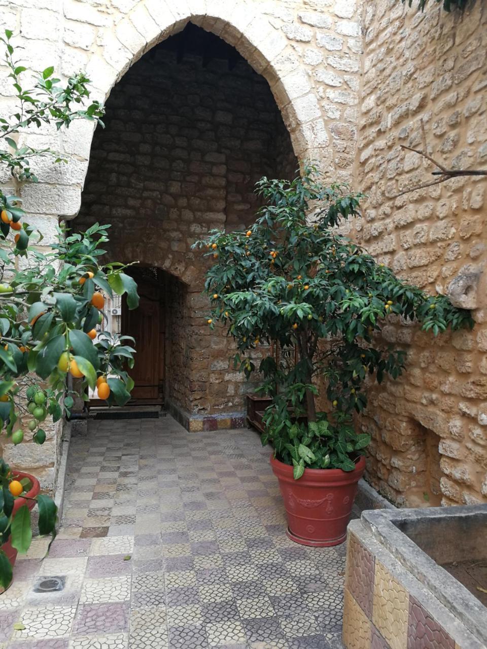 Dar Camelia Bed and Breakfast Τύρος Εξωτερικό φωτογραφία