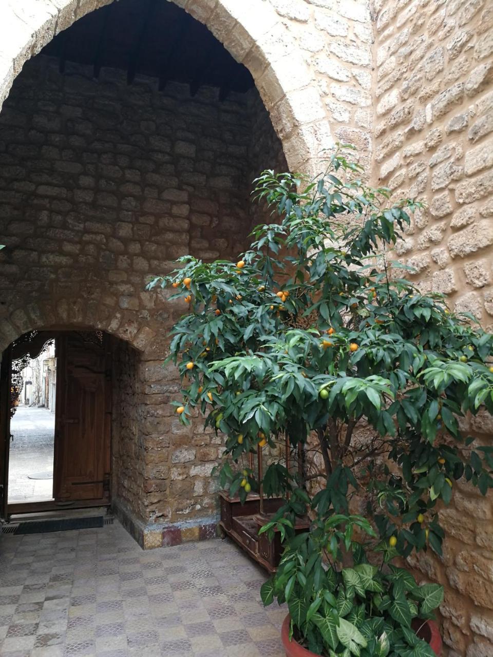 Dar Camelia Bed and Breakfast Τύρος Εξωτερικό φωτογραφία